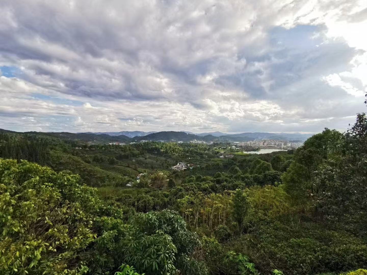 Chinese coffee lands