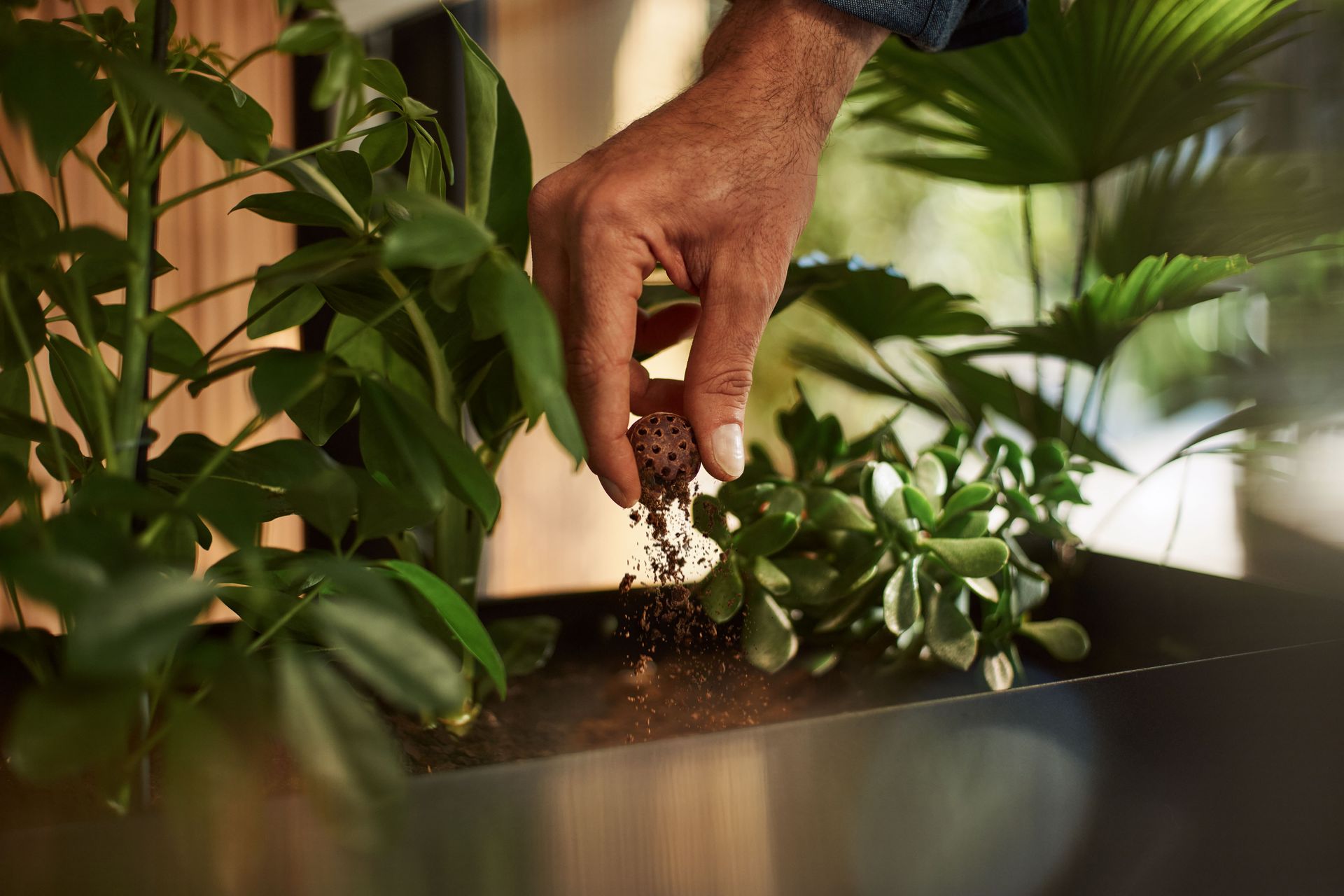 CoffeeB garden compostable